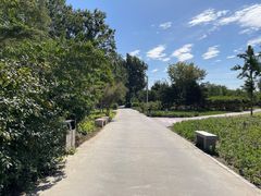 -绿堤公园