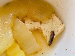 -野菌皇海景野生菌火锅(滨海大道店)