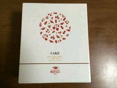 -维尔纳斯·生日蛋糕动物奶油冰淇淋蛋糕(人大店)
