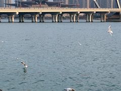 -蠡湖大桥公园