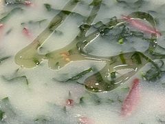 -安东尼奥餐厅