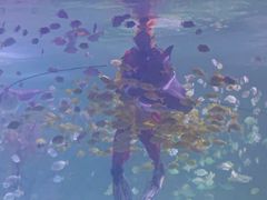 -常州海昌海洋探索馆