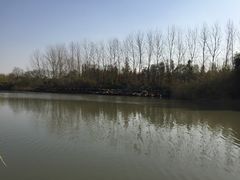 -溱湖国家湿地公园