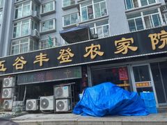 -五谷丰登·胶东海鲜·家常菜(张村店)