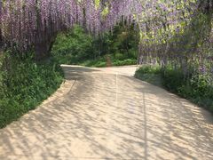 -南戴河国际娱乐中心