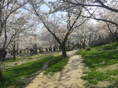 -苏州上方山国家森林公园