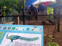 -南宁市动物园