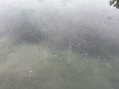 -百脉泉景区