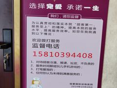 -宠爱国际动物医院·疑难骨科·心肾内科·皮肤科(太阳宫店)