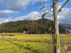 -岚山嵯峨野观光小火车