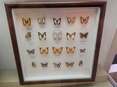 -陕西自然博物馆