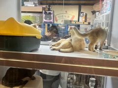 -本溪路花鸟市场(江浦路1709弄小区店)
