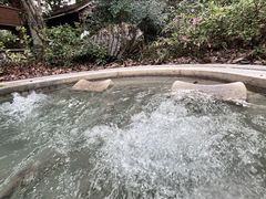 -和顺柏联温泉