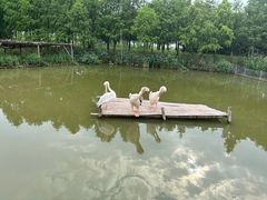 -宁波杭州湾国家湿地公园