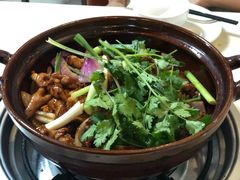 -胡须佬鸡煲四季火锅(龙珠大道店)