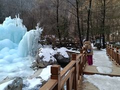 -青峰峡国家森林公园