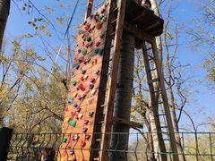 -朝阳公园游乐园