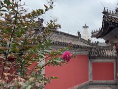 -妙应寺白塔