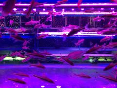 -三旗百汇商品城