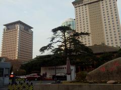 -南京钟山宾馆(江苏省会议中心)