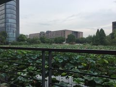 -3W咖啡(国家软件园店)