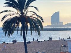 -小巴塞罗那海滩