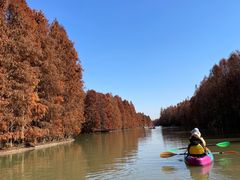 -上海海湾国家森林公园