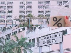 -彩虹村