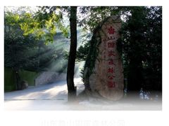 -鲁山国家森林公园