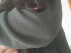 -灵美宠物诊所