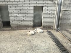 -银川动物园