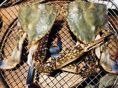 -海味当家·蒸锅海鲜(星海公园店)