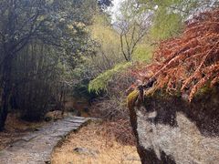 -卡定沟景区