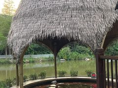 -美的鹭湖森林度假区
