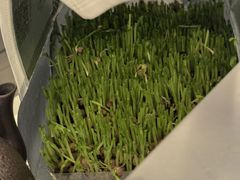 -湊湊火锅·茶憩(南京万象天地店)