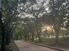 -榴花公园