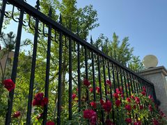 -北京市垂杨柳医院