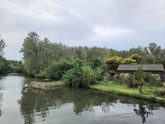 -溱湖国家湿地公园