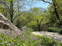 -秦岭终南山世界地质公园翠华山景区