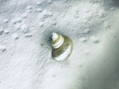 -青岛贝壳博物馆