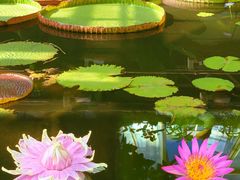 -国家植物园南园