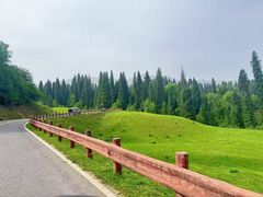 -新疆那拉提国家旅游度假区
