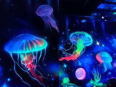 -沈阳海洋探索中心