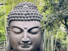 -杭州植物园