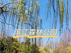 -上海滨江森林公园