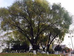 -宿迁学院