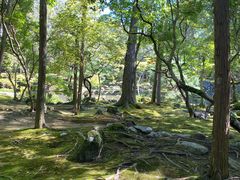 -西芳寺(苔寺)