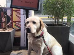 -韩满园· 甄选韩式烤肉