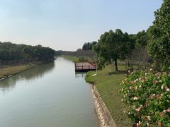 -上海海湾国家森林公园