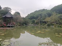 -云溪植物园